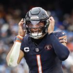 lions-bears-football-1709066987